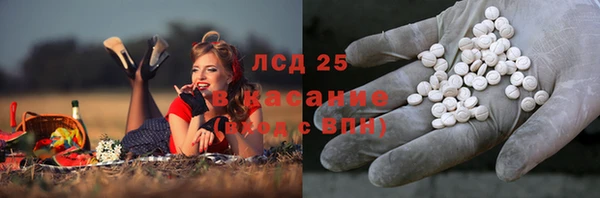 ECSTASY Нефтекумск