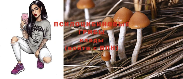 ECSTASY Нефтекумск